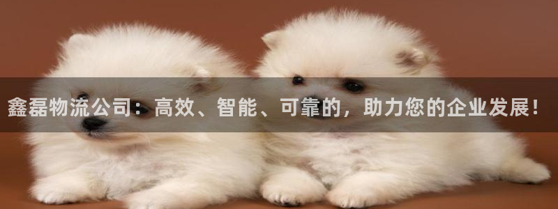 南宫旺财28怎么注册：鑫磊物流公司：