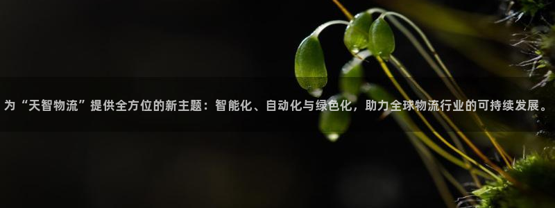旺财28：为“天智物流”提供全方位的