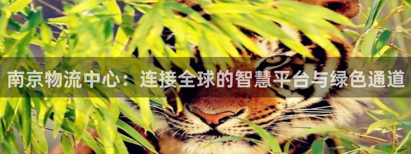 旺财28加拿大在线预测：南京物流中心