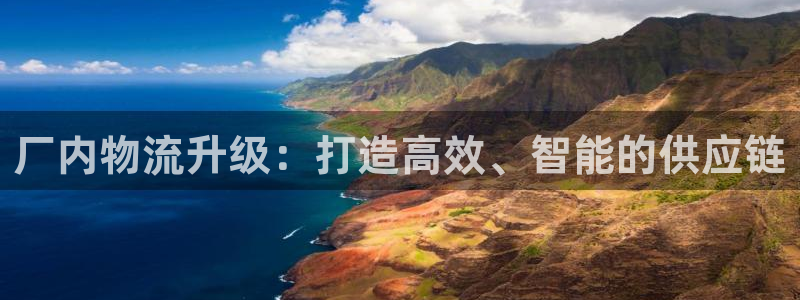 旺财28注册登录:厂内物流升级:打造