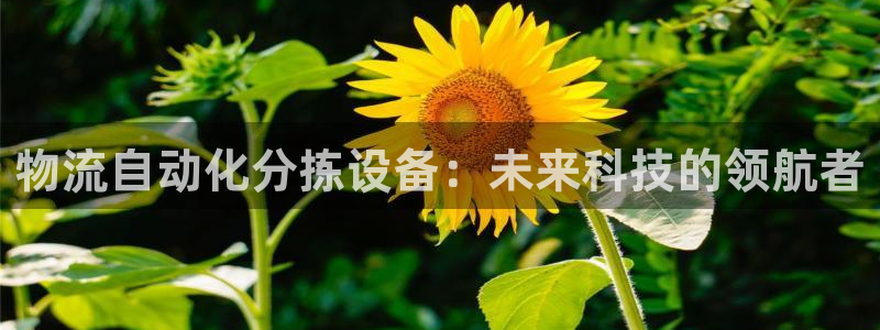 旺财28下载链接是多少