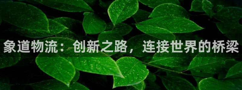旺财28加拿大在线预测