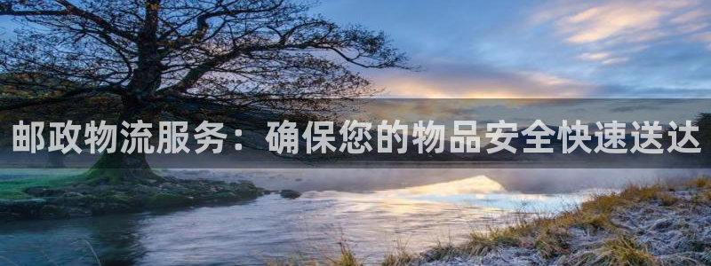 旺财28稳吗：邮政物流服务：确保您的
