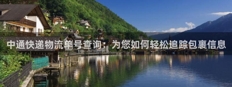 旺财28连输10天：中通快递物流单号