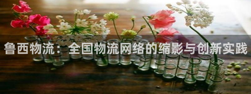 旺财28注册链接教程：鲁西物流：全国