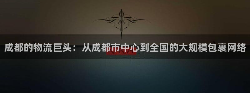 旺财28网站平台是多少：成都的物流巨头：从成都市中心到全国的
