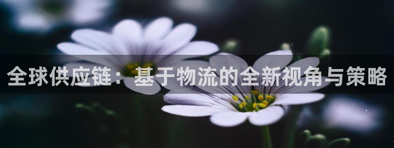 旺财28游戏