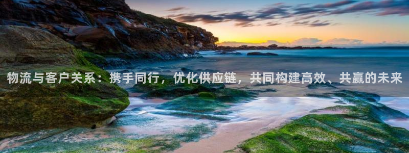 旺财28的自行车：物流与客户关系：携