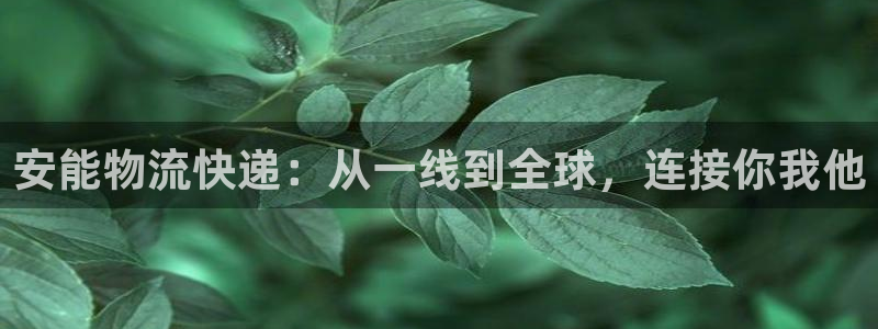 旺财28分分28预测