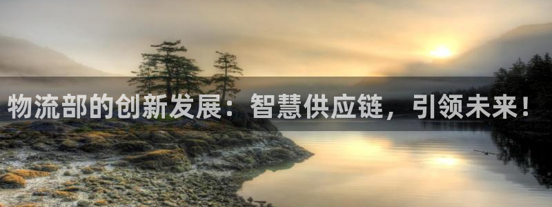 旺财28充值不到账怎么办：物流部的创