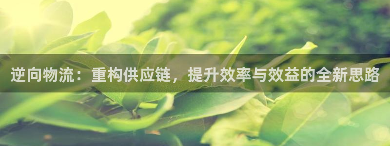旺财28APP是干什么的