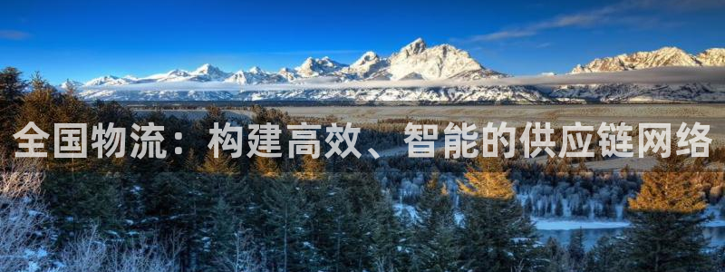 旺财28吧:全国物流:构建高效、智能