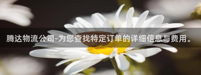 旺财28官网开奖结果预测查询:腾达物
