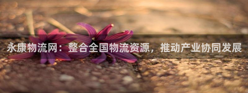 旺财28游戏链接：永康物流网：整合全国物流资源，推动产业协同
