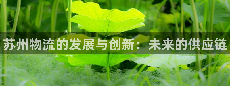 旺财28加拿大开奖：苏州物流的发展与
