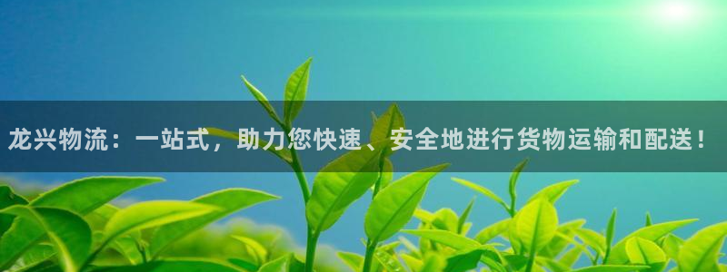 旺财28辅助:龙兴物流:一站式,助力