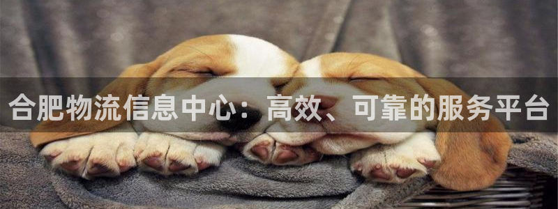旺财28分分28输了能不能退:合肥物