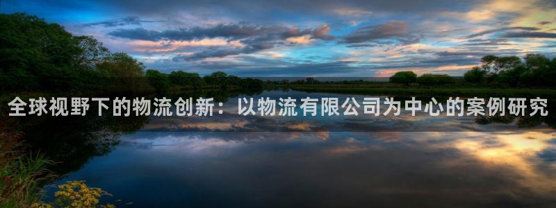 旺财28网站平台:全球视野下的物流创