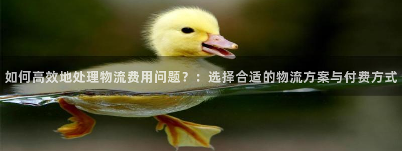 旺财28官网下载加拿大:如何高效地处