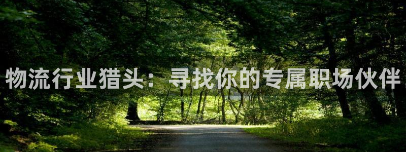 旺财28游戏链接:物流行业猎头:寻找