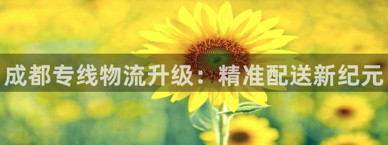旺财28怎么下载不了:成都专线物流升